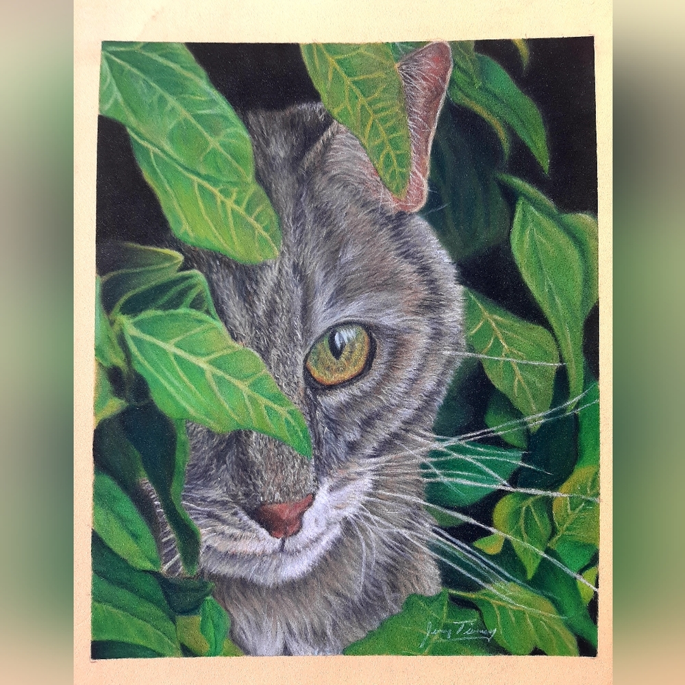 Example Custom Pet Portraits, Not forsale